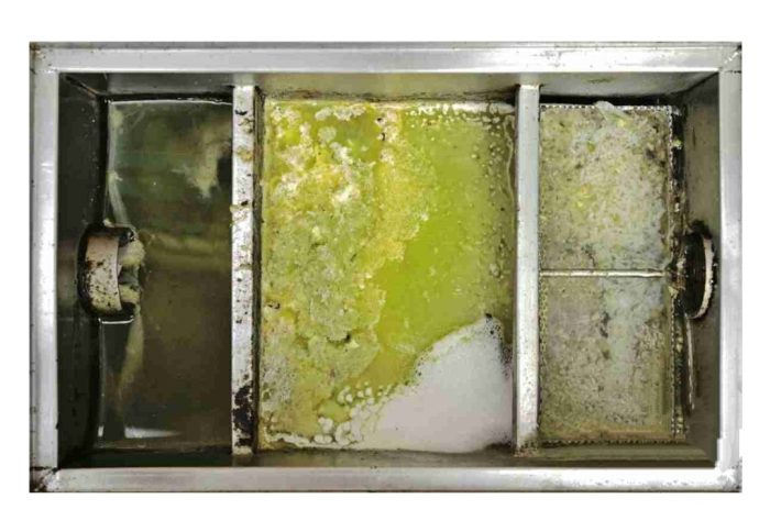 bioenzyma-10 - NetProfessionalEcology Interior metal tray or appliance with three compartments; the middle section is covered in green/yellow mold and white crust, indicating extensive spoilage or mold growth.