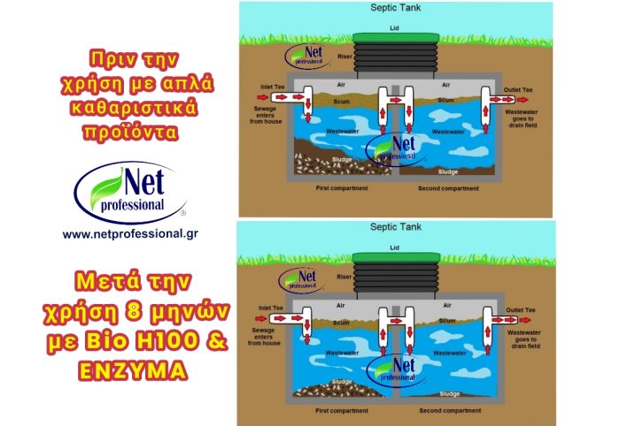 bioenzyma-6 - NetProfessionalEcology Side-by-side septic tank diagrams; left shows conditions before using cleaners, right shows after 8 months with Bio H100 and ENZYMA (brand on left)
