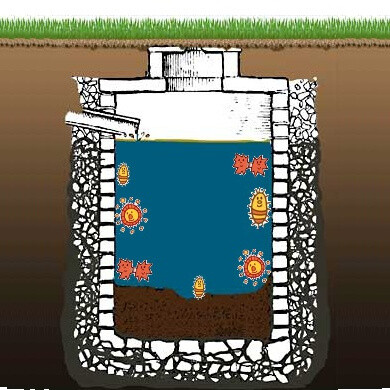 bioenzyma-9 - NetProfessionalEcology Cross-section of a buried septic tank showing water, sludge at the bottom, stone walls, and microorganisms represented inside the tank.