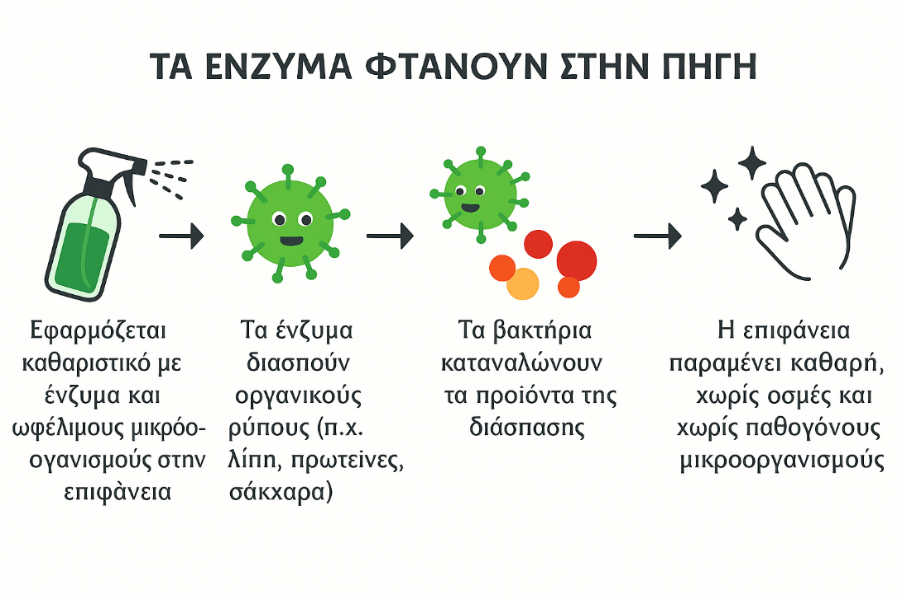 enimerosi-gia-oikologika-proionta-14